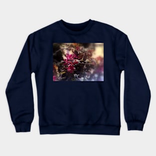 red Malus 'Radiant'  crab apple blossoms #2 Crewneck Sweatshirt